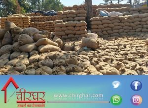dhan kharidi