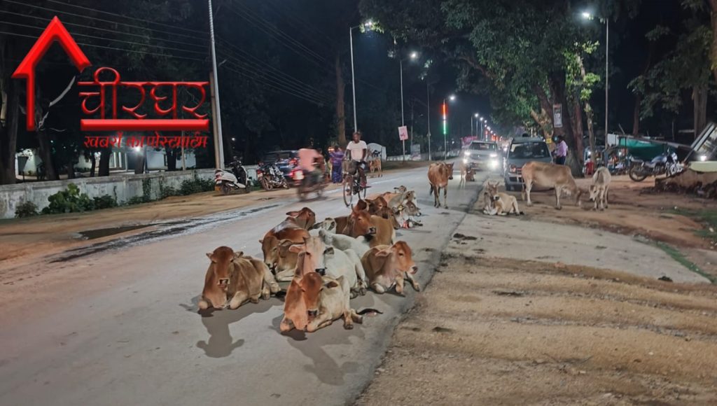 WhatsAppImage2025-11-04at3.35.30PM