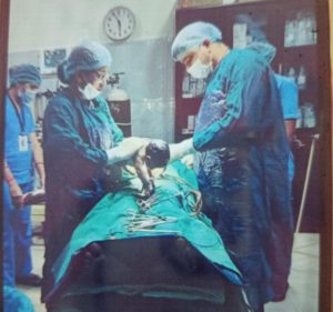 compressed_1002293064