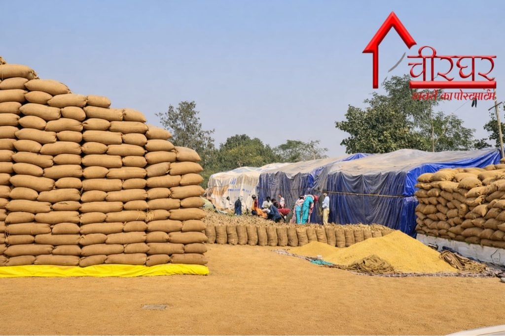 छत्तीसगढ़ में धान खरीदी