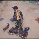 9 भारतीय विशाल गिलहरियों के शिकारी गिरफ्तार