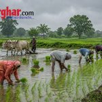 गरियाबंद में झमाझम बारिश से कही राहत, कही आफत : बाढ़ में फंसे 14 मजदूरों को निकाला गया