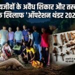 खाकी पर लगा तस्करी का दाग : इंटरपोल के ‘ऑपरेशन थंडर’ के तहत वाइल्डलाइफ तस्करों पर बड़ी स्ट्राइक, दो पुलिसकर्मी भी संलिप्त